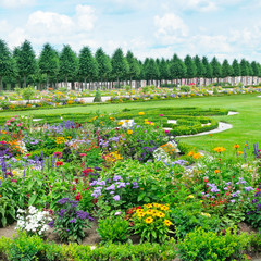 Flowerbed in a public park. A bright sunny day. Summer.