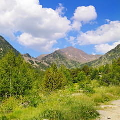 Fototapeta na wymiar Picturesque mountain landscape,meadow, hiking trail and beautiful sky.