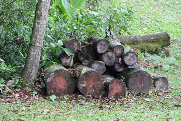 Naturaleza