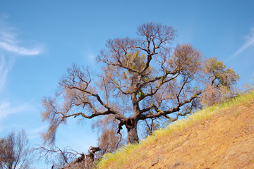 Malibu Creek State Park in California - travel photography