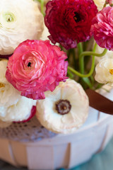 Romantic floral composition with a pink Ranunculus flowers closeup. Beautiful bouquet of flowers in white basket
