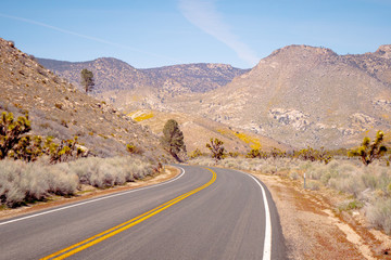 Scenic route through the desert at Sequoia in California - travel photography