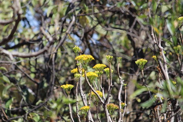 Naturaleza