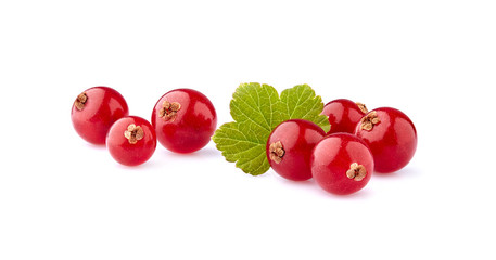 Red currant berries with leaf on White Background