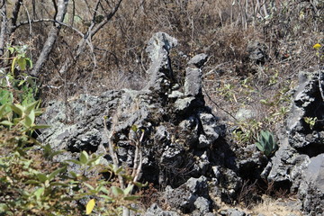 Naturaleza