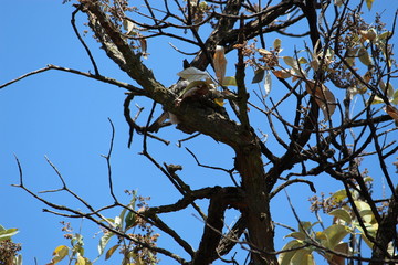 Naturaleza