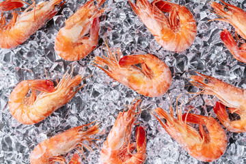 Extra large tiger prawns