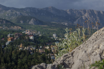Fototapeta na wymiar View on the rocks of Ai-Petri mountain on Black Sea coast in Crimea