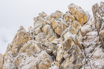Sea shore in the Crimea in the summer