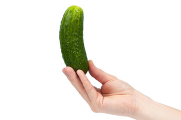 Hand holding organic delicious cucumber Isolated on white Background. Healthy eating and dieting concept