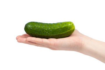 Hand holding organic delicious cucumber Isolated on white Background. Healthy eating and dieting concept