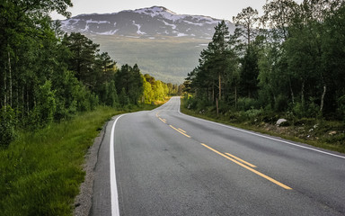 The mountain road in Norway passes through the forest.