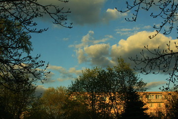 sunset,trees, sky, blue, clouds,