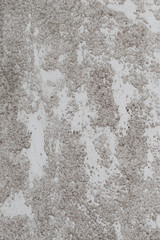 Textured cement wall background.