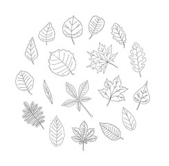 Vector set of colored black leaves isolated on white background. Monochrome pack of birch, maple, oak, rowan, chestnut, hazel, linden, alder, aspen, elm, poplar, willow, walnut, ash leaves.