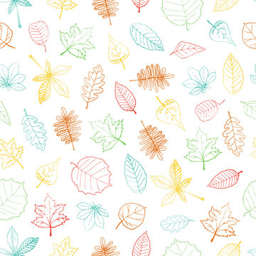 Vector seamless pattern of colored hand drawn textured leaf. Autumn repeat background with isolated colorful birch, maple, oak, rowan, chestnut, hazel, linden, alder, aspen, elm  leaves