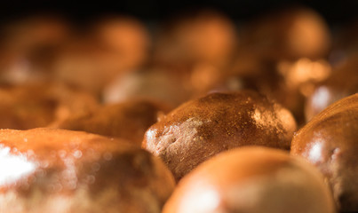 Delicious Baking with Golden Crust. Concept: Choose and Eat!