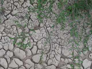 La terre séché en bord de loire
