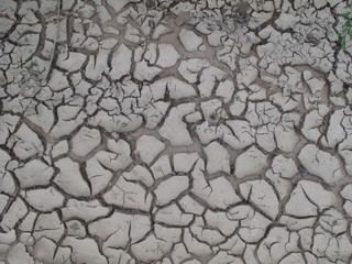 La terre séché en bord de loire