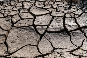 global warming equals: thirst and drought,drought or soil breaking,