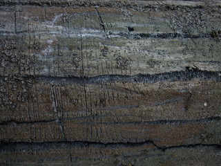 texture of old wall