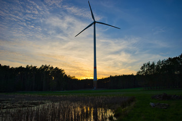 Windrad im Abendlicht 