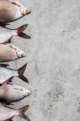 River Fish Background