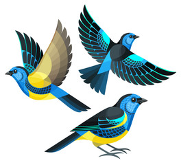 Stylized Birds - Turquoise Tanager