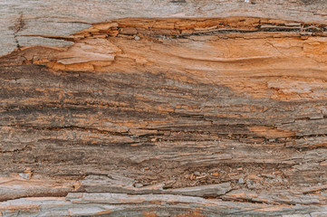 Obraz na płótnie Canvas Natural brown old wooden background and texture.