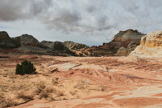 View of eroded sandstone rock formations at dawn, White Pocket, Arizona