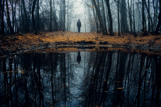 Mysterious dark autumn forest lake - Powered by Adobe