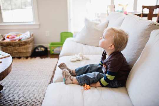 toddler absorbed in a tv program