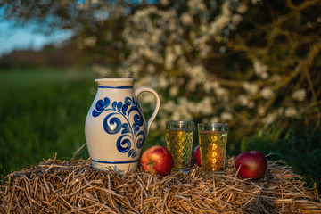 Traditional German Apple Wine from the Hesse Region. Wine in an old jug