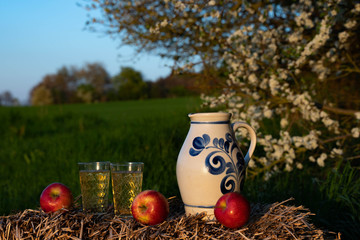 Traditional German Apple Wine from the Hesse Region. Wine in an old jug