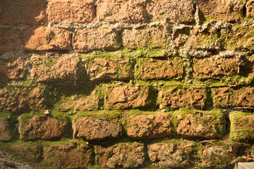 Brick Wall, Moldy old red and green old brick wall