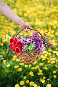 Woman holding basket full of flowers over dandelion meadow