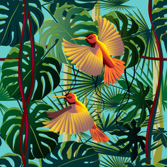 Obrazy na Szkle  Latające kolibry w zaroślach kwitnącego lasu deszczowego.