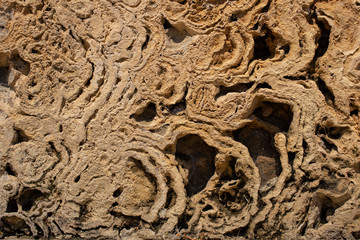 The texture of marine sedimentary rock, used in finishing works in construction. Wall. Stone. Bricks. Volcanic tuff. 