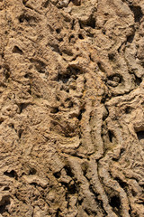 The texture of marine sedimentary rock, used in finishing works in construction. Wall. Stone. Bricks. Volcanic tuff. 