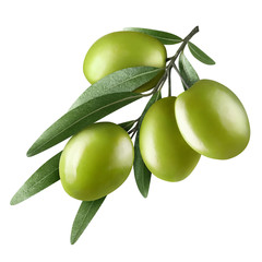 Olive branch with green olives, isolated on white background