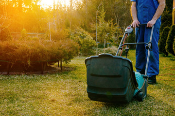 Using scarifier in the garden. The man fertilizes the soil in the garden, preparing for work on the...