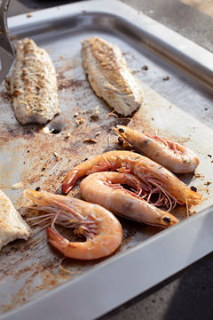 Barbeque picnic in Sydney with fresh fish, prawns and oysters