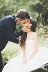 Beautifull wedding couple kissing and embracing near the shore of a mountain river with stones