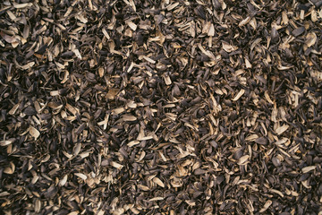 Fototapeta premium Texture of black sunflower seeds, charlach from seeds