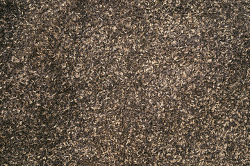 Texture of black sunflower seeds, charlach from seeds