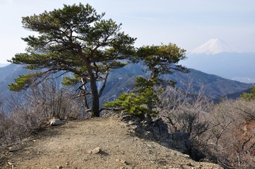 清八山山頂より望む富士山
