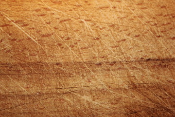 log,beam,wood,carving wood,blackboard,tree, wood, timber,backdrop, back burne,natural,organic,plate,