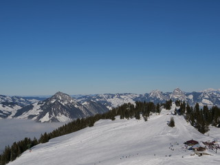 Fototapeta na wymiar skigebit in den schweizer alpen