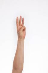 Isolated female hand on white background