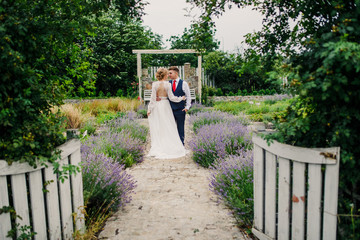 young beautiful wedding couple the bride and groom walks at sunset in Provence in France near the...